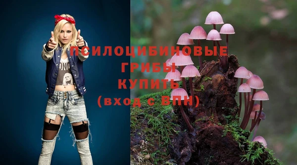 кокс Володарск