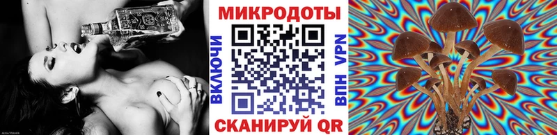 где купить наркоту  Александровское  Галлюциногенные грибы MAGIC MUSHROOMS 